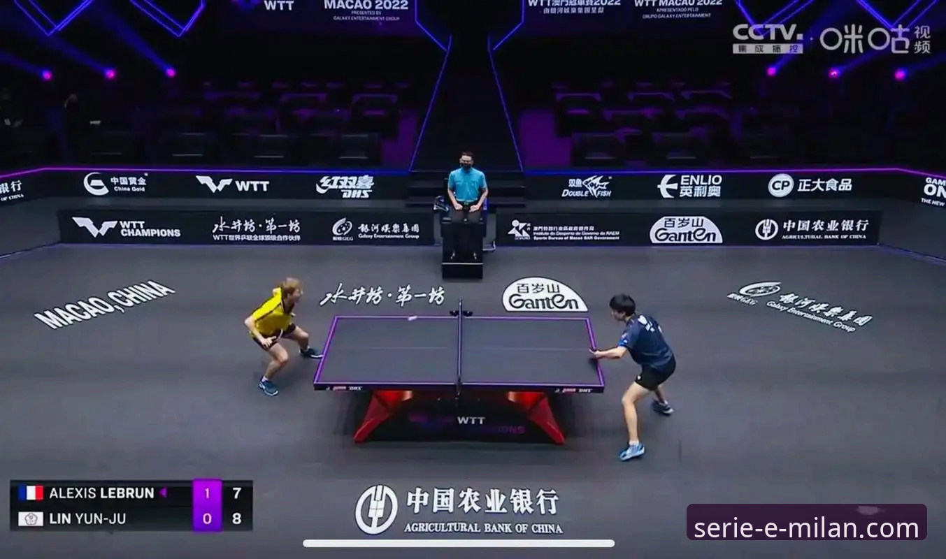 3个关键视角，解读WTT重庆赛的青春风暴与平台观赛新体验