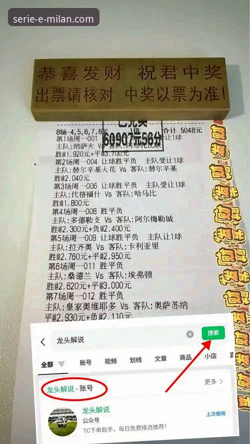 2024-25赛季米兰德比门票评测最新动态：圣西罗观赛体验全解析